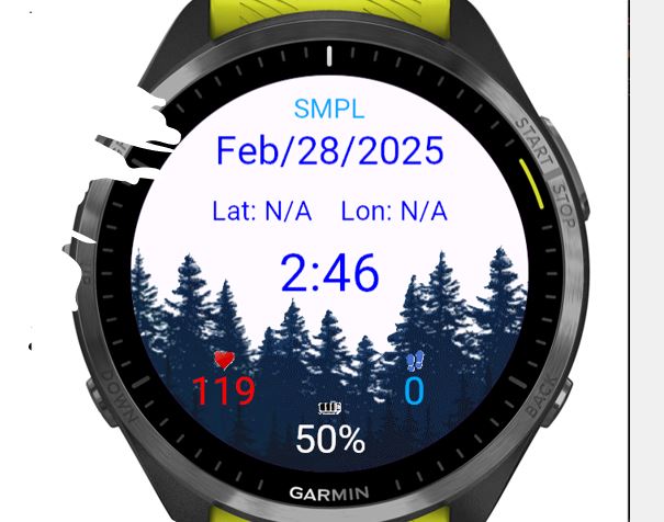 This image shows the watch face displaying the name, time, date, latitude, longitude, heartrate, steps, and battery percentage. 